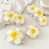 Plumeria Blume Haarspangen & Haargummis Set, Niedliche Frangipani Haarschmuck für Damen, Boho Strand Haardekoration für Urlaub und D