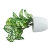 Flower Foliage  Potted Bonsai Office Decor