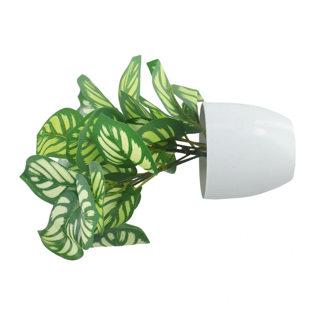 Flower Foliage  Potted Bonsai Office Decor