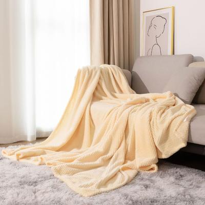 Thickened Solid Color Coral Flannel Blanket Air Conditioning Blanket Napping Blanket for Winter Fuzzy Thick Warm Soft Throw Sofa Decoration