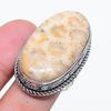 Natural Fossil Coral Gemstone 925 Sterling Silver Jewelry Ring Size 8 AR-15978