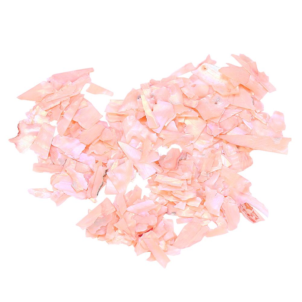 6 Boxes Shell Piece 3D Nail Art Decoration Nail DIY Slice Beauty Nail Decals Manicure Tools