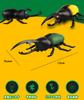 Remote-Controlled Insects, Stag Beetles, and Rhinoceros Beetles [Like the Real Thing Realistic Movements] Assorted RC Toy Set with Infrared Remote