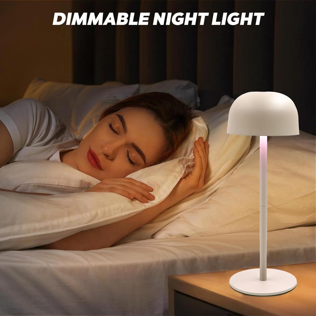 Cordless Table Lamp Rechargeable LED Desk Lamp Bedside Lamp with Detachable Lamp Pole Touch Control