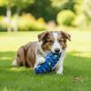 Bite Resistant Dog Chew Toy Flexible Dog Teething Stick Dog Toothbrush Stick  Chew Toy