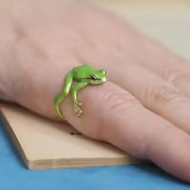 Eye Catching Tree Frogs Ring Allergy Free Alloy Finger Ring Adjustable Size Ring Stylish Jewelry for Men and Women