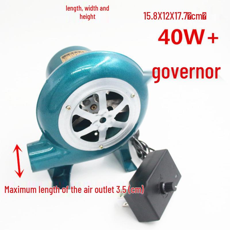 Jiulongshan 220V Mały domowy dmuchawa do grilla