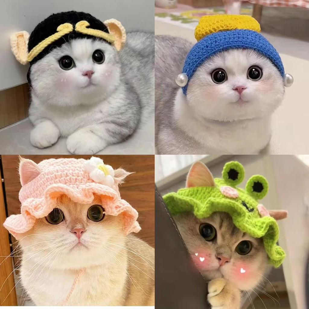 Pet Dog Cat Costume Hat Kitten Headgear Funny Cute Headwear Photo Prop Quirky Knitted Hat