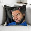 Rapper DDrake Pillow Case Square DoubleSided Printing Short Plush Sofa Cushion Cover Bedroom Bedside Pillow