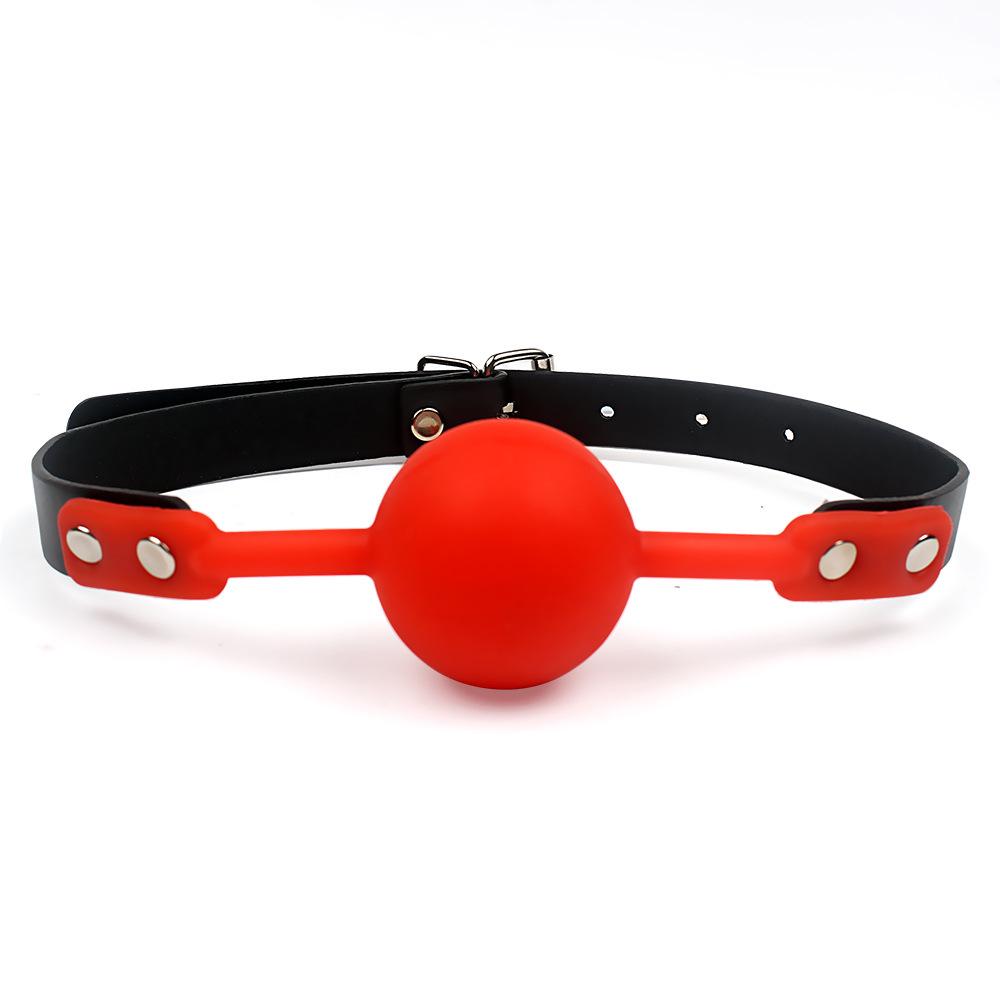 Silicone SM Flirting Discipline Gag Toy
