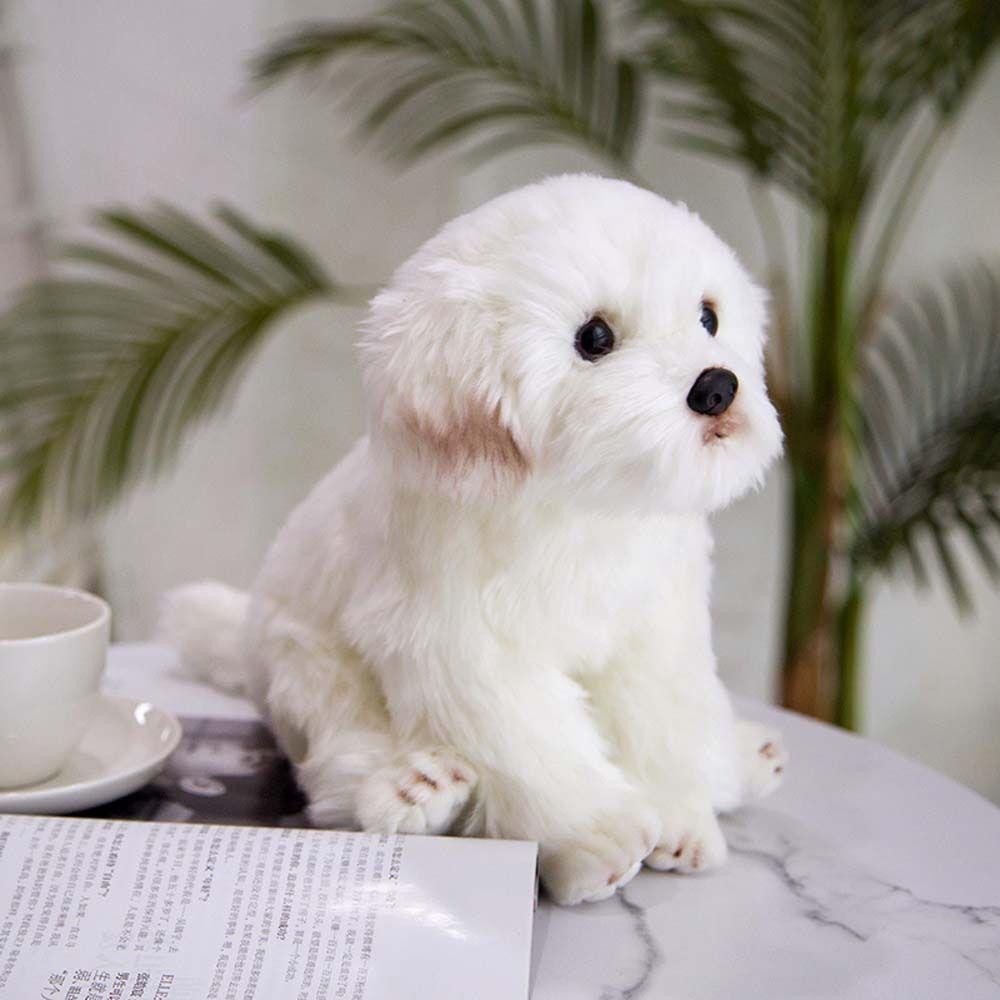 Pets Fluffy Maltese Plush Toy Stuffed Animal Puppy Dog Plush Maltese Stuffed Dog  Children Toy
