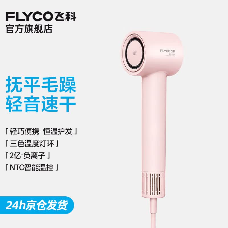 Flyco High-Speed Negative Ion Hair Dryer CN plug (adapter included)