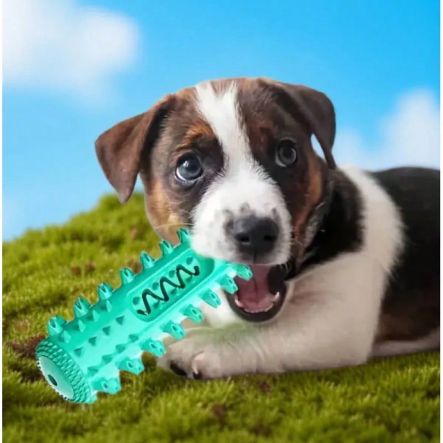 Dental Chew Toy for Dogs – Tartar Control Teeth Cleaning Chew, Satisfies Natural Urge To Gnaw & Promotes Fresh Breath