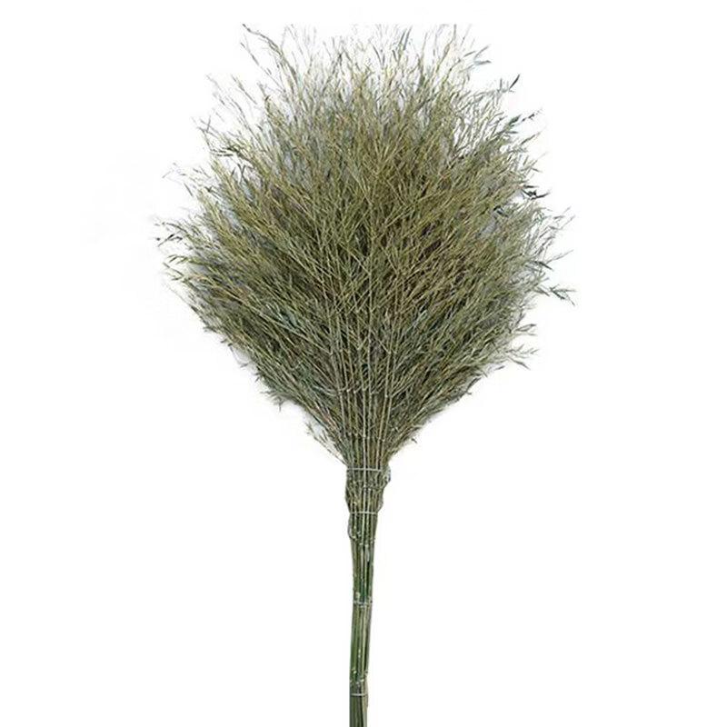 Natural Bamboo Yard & Road Broom