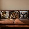 Floppa Cat Meme Cushion Cover Soft Reversible  Durable Pillow Cover  MultiScene Use for Home  Car Daily Comfort
