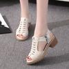 New Summer Women 'S Sandals Square Heel Zipper Gladiator Shoes Open Toe High Heels Women Hollow Breathable Casual Sandals