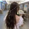 Sweet and Cute Fairy-Like Tassel Hair Accessories, Braided Hair Clips, Pearl Hair Chains, Women's Hair Accessories, Y2day Outfits, and Daily Wear