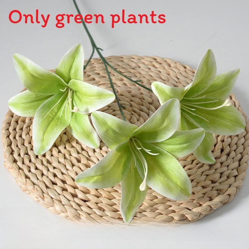 Liebm Deliciosa Monstera And Eucalyptus Citriodora Hook Green Decor Plants