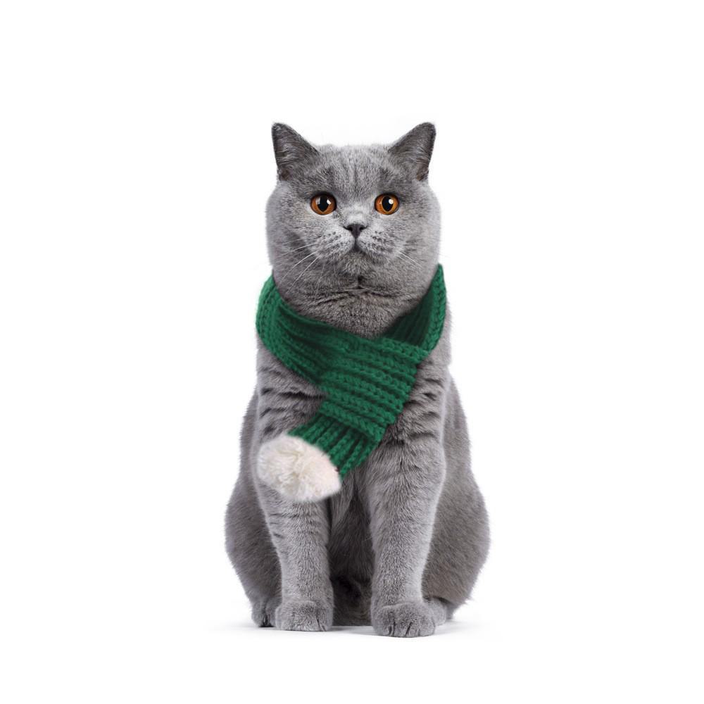 Festive Red & Green Knitted Christmas Scarf for Cats and Dogs