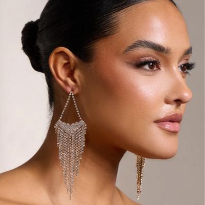 Exaggerate the Flowing Earrings Long Earrings, Exaggerated Temperament, Fashion Light Luxury Ear Decoration Female