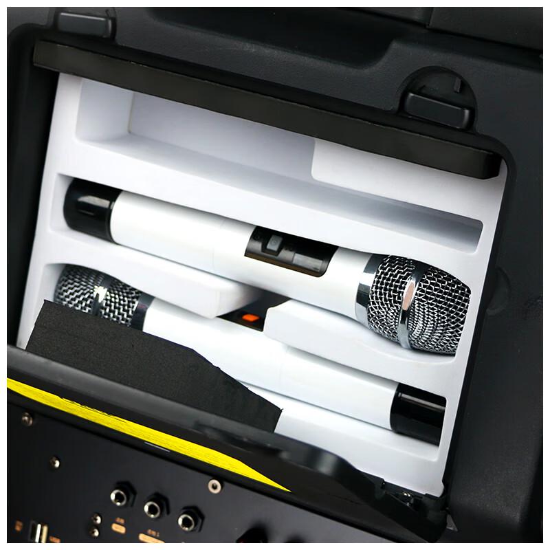 Wanlida M+9050 Portable Outdoor Karaoke Speaker