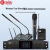HuiDu HDS-5200 True Diversity Wireless Dual Professional Conference Microphone
