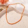 Fashion Creative Colorful Rice Bead Necklace Bohemian Clavicle Choker Beaded Necklace Jewelry Gifts for Women