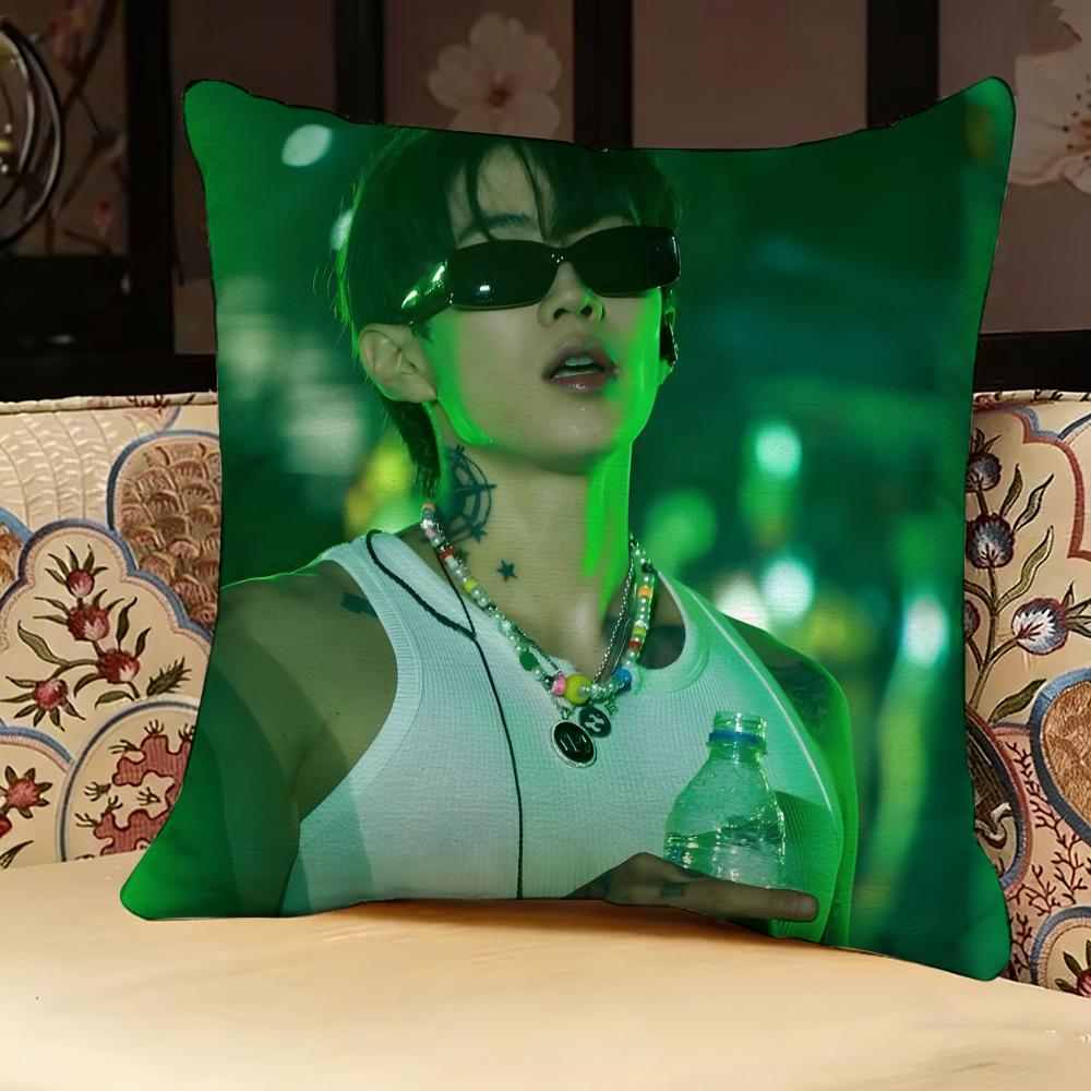 Jay P-park Singer Pillow Case Pillowcase, Double-sided Printed, Sofa Cushion, Bedroom Headboard Pillow