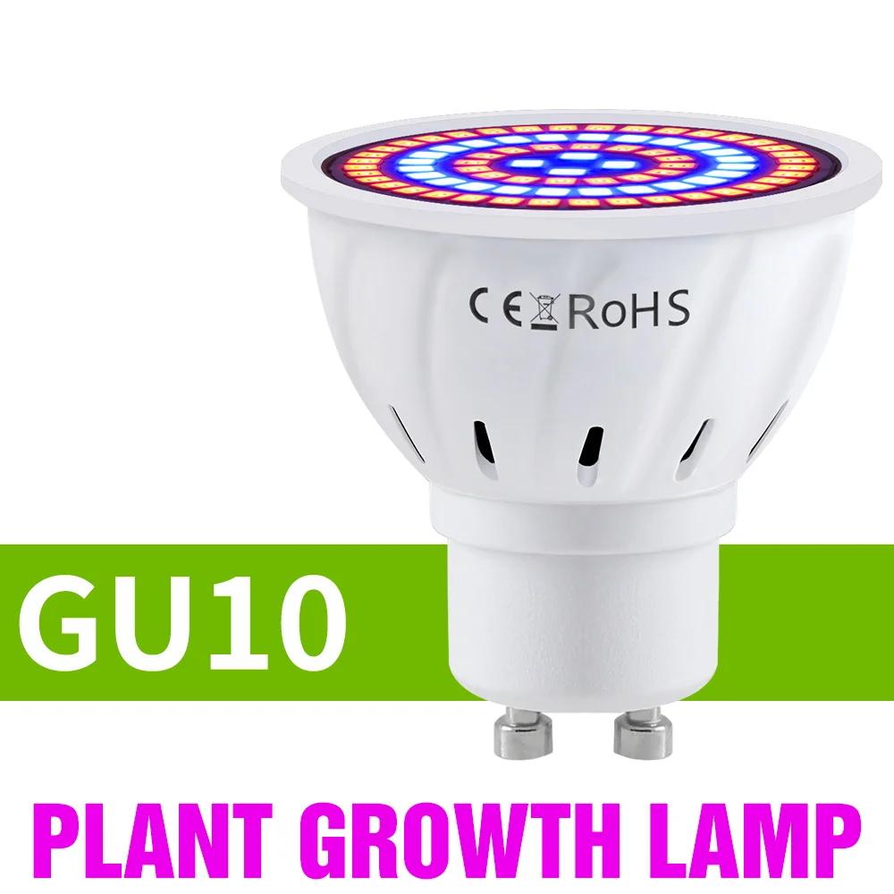 E27 LED Plant Grow Lights GU10 220v Full Spectrum Indoor Hydroponics Flower Seeds Promote Growth Vegetables Cultivation LampE14