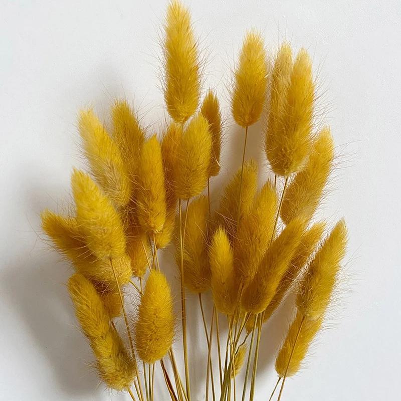 60 Stück Natur Hasenschwanzgras Trockenblumenstrauß Hochzeitsfeier Deko Flauschiges Pampasgras Weihnachten DIY Blumengesteck