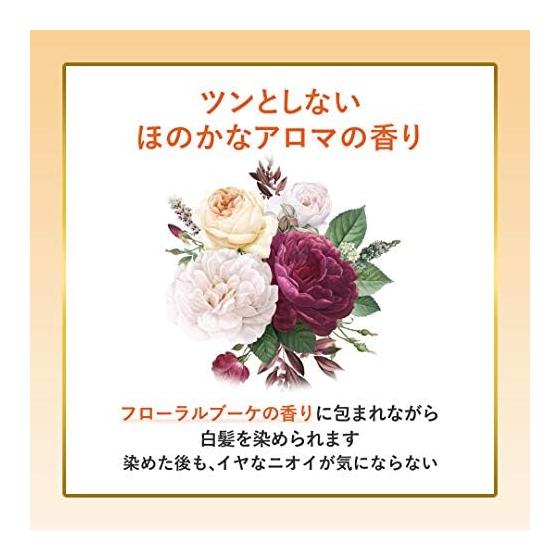 [Grey Hair Dye] Bigen Scented Hair Color Emulsion 3NA (2 pieces + bonus) [Quasi-drug] Hoyu