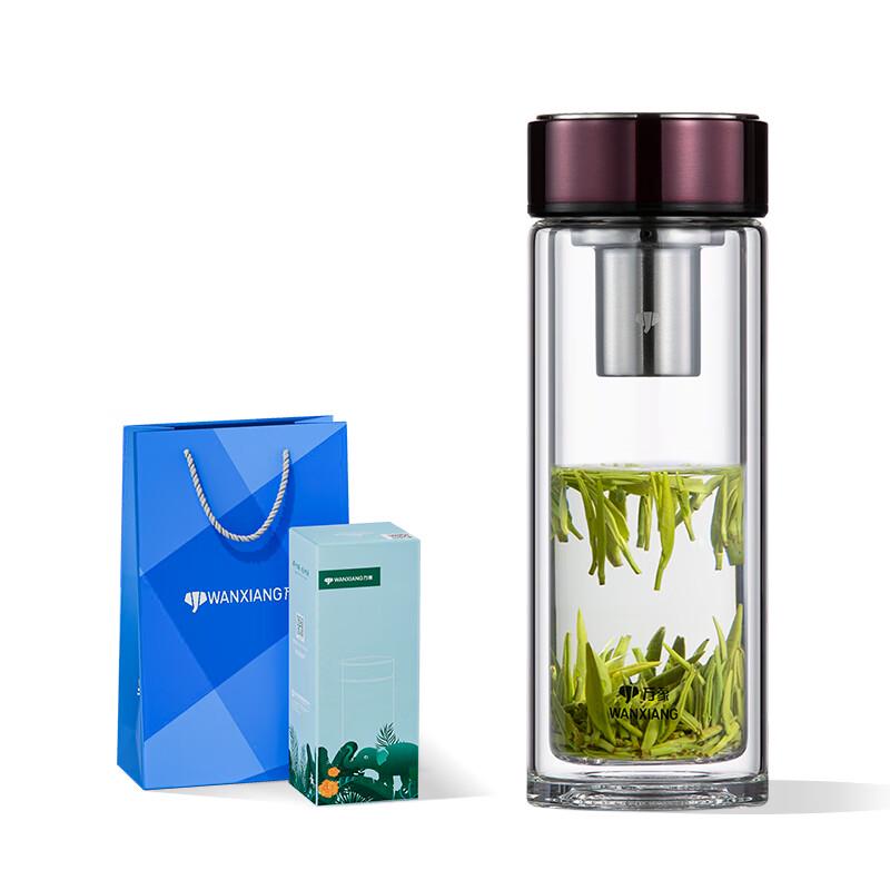 V266R Double-Layer Glass Tea Cup with Filter