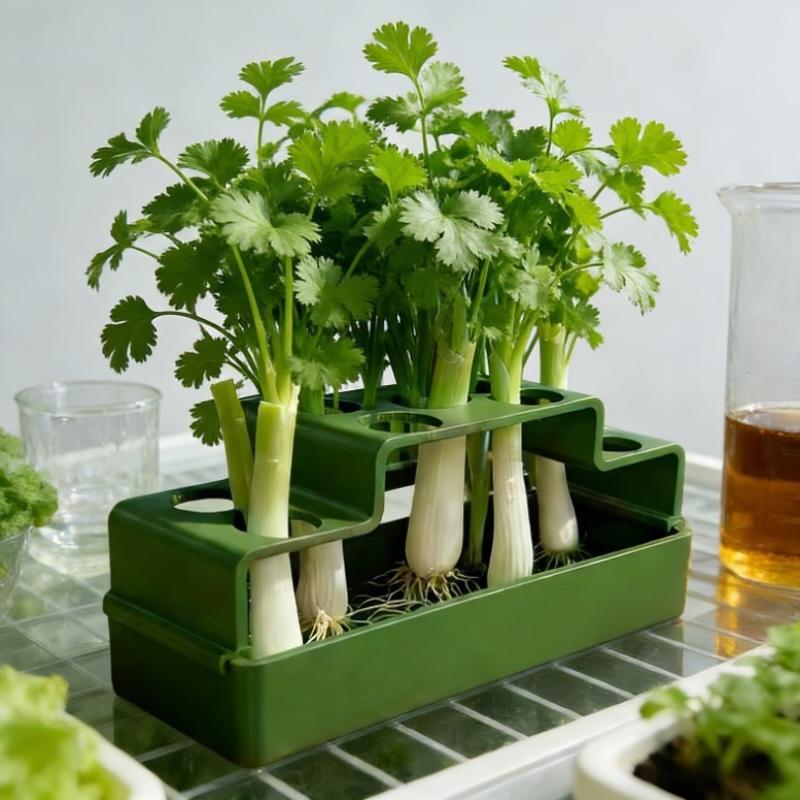 A Planting Device Specifically Designed For Green Onions, Featuring A Hydroponic System That Allows For Repeated Growth