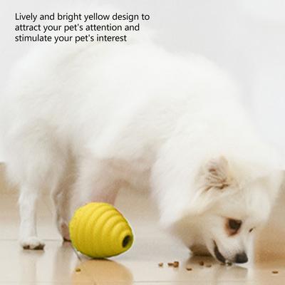 Hunde – Hundespielzeug