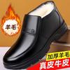 Cotton shoes men's high-top winter velvet thickened warm leather wool dad leather shoes