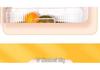 Microwaveable Transparent Glass Bento Lunch Box with Lid and Fresh-Keeping, Includes Damage Compensation.