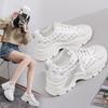 Daddy Shoes Women's 2025 Spring Women's Shoes Mesh White Shoes Women's ins Korean Version Versatile Platform Sneakers Casual Shoes
