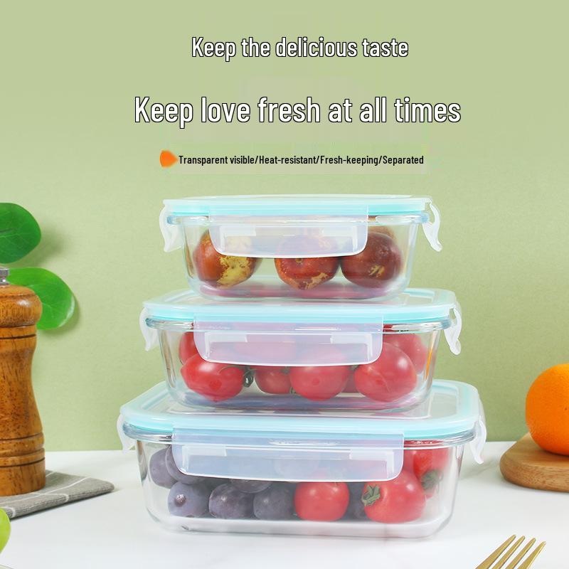 Microwave and Freezer Safe High Borosilicate Glass Food Container