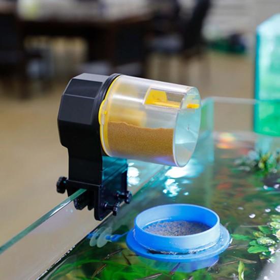 Praktischer automatischer Futterspender für Fische, 12 h/24 h, 2 Farben, Zubehör für Aquarien