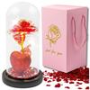Gift Eternal Rose In Glass Shining for Her Girlfriend Wife Romantic