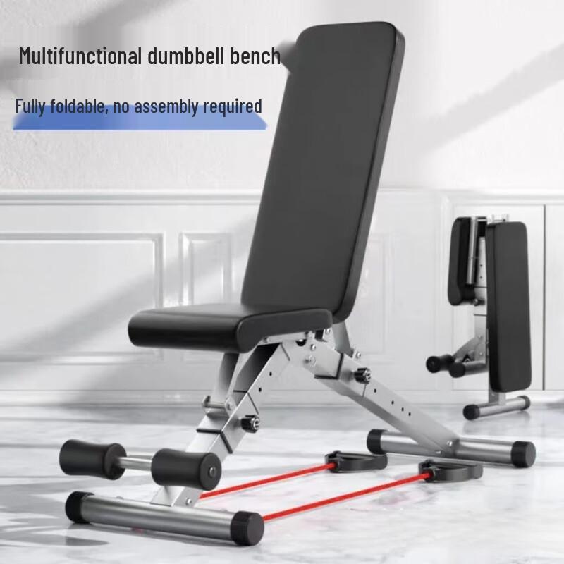 WEZHO Multifunctional Foldable Sit-up & Dumbbell Bench