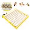 Automatic Egg Incubation Tray Household Egg Incubator Tray for Chicken Duck Quail
