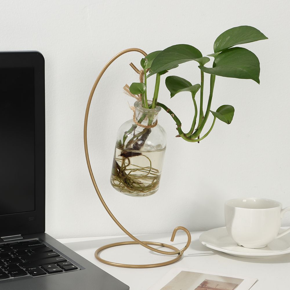 Micro Landscape Ecological Bottle Iron Hanging Retro Glass Ball Hanging Stand Candle Holder Hook Flower Rack Iron Frame