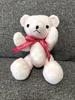 [USED] Tully's Teddy Bear 2015