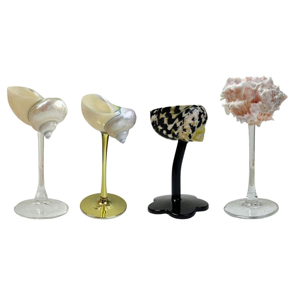 Conch Shell Champagne Glass Cup Home Decor Champagne Cup Goblet for Women Men Ad