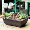 1PC Square Flower Pot Imitation Plastic Balcony Pots Flower Bonsai Bowl Nursery Basin Planter Imitation Rectangle  Plant Pots