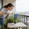 Doniczka do roślin domowych Dwupoziomowy pojemnik do sadzenia ze zbiornikiem Doniczka na kwiaty do domu mieszkania biura akademika salonu