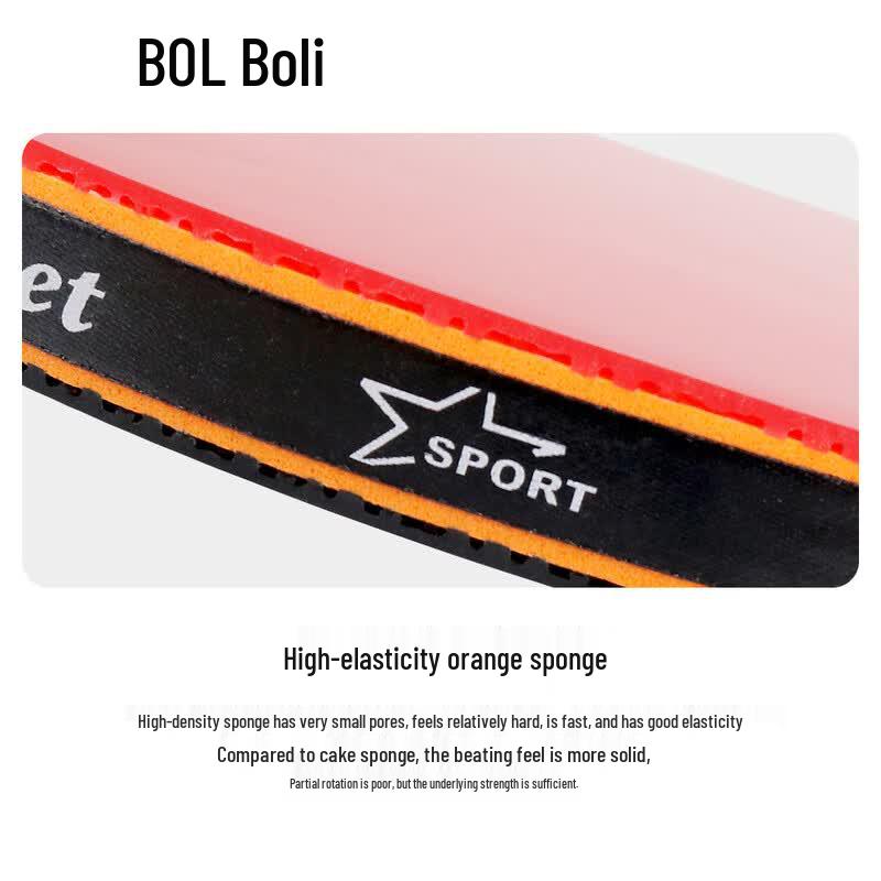 Bolli A12 Beginner Table Tennis Bat Set