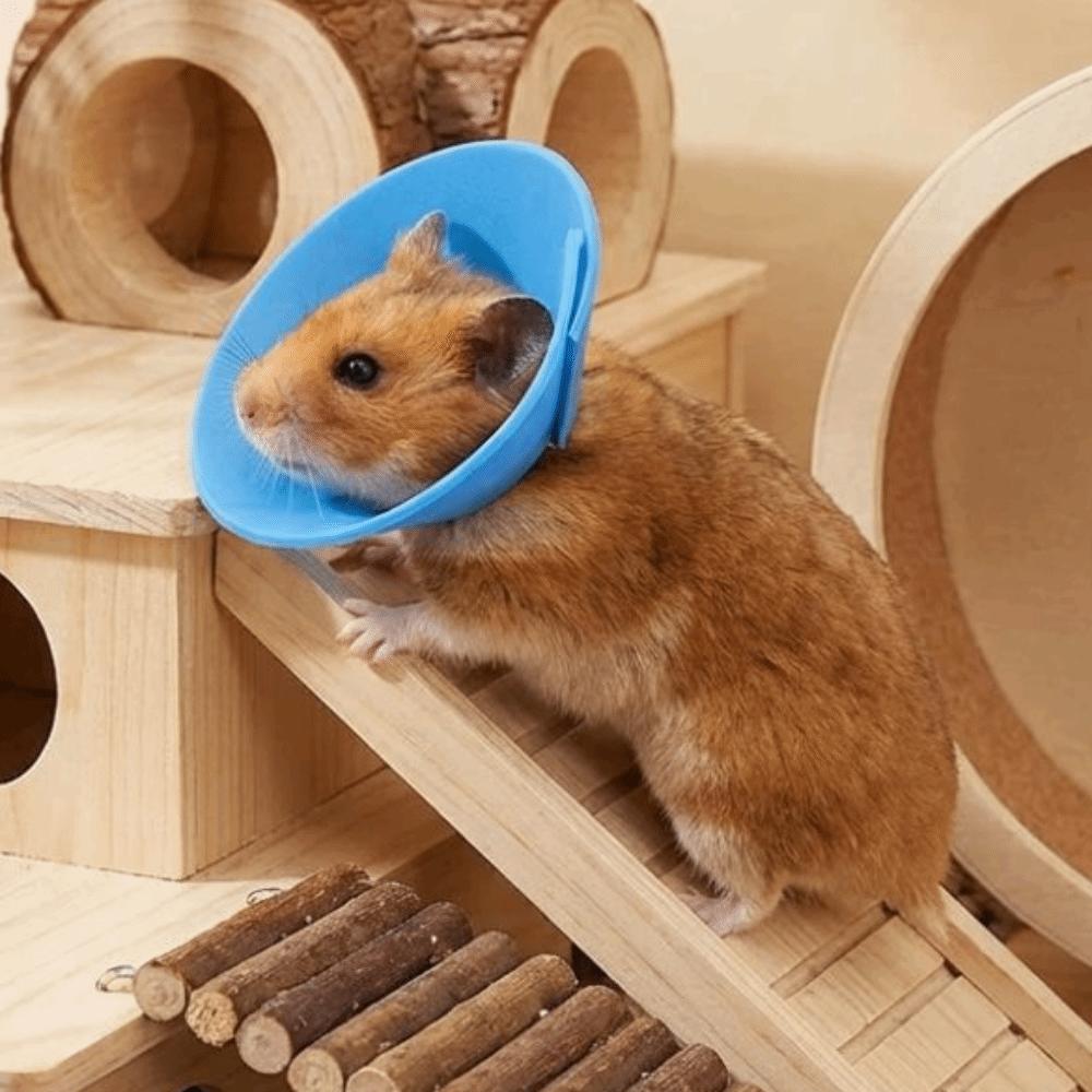 Coleira Anti-Lambedura Ajustável Coleira Protetora Anti-Mordida para Pássaro Hamster Coelho