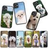 Phone Cover Bichon Frise Dog Pet for Samsung Galaxy A36 A17 A26 A07 A35 A54 A53 A13 A33 A34 S8 S9 S20 S21 FE S10 Plus Case
